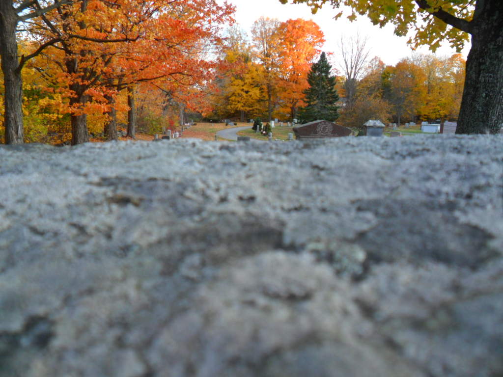 autumn in an old cemetery