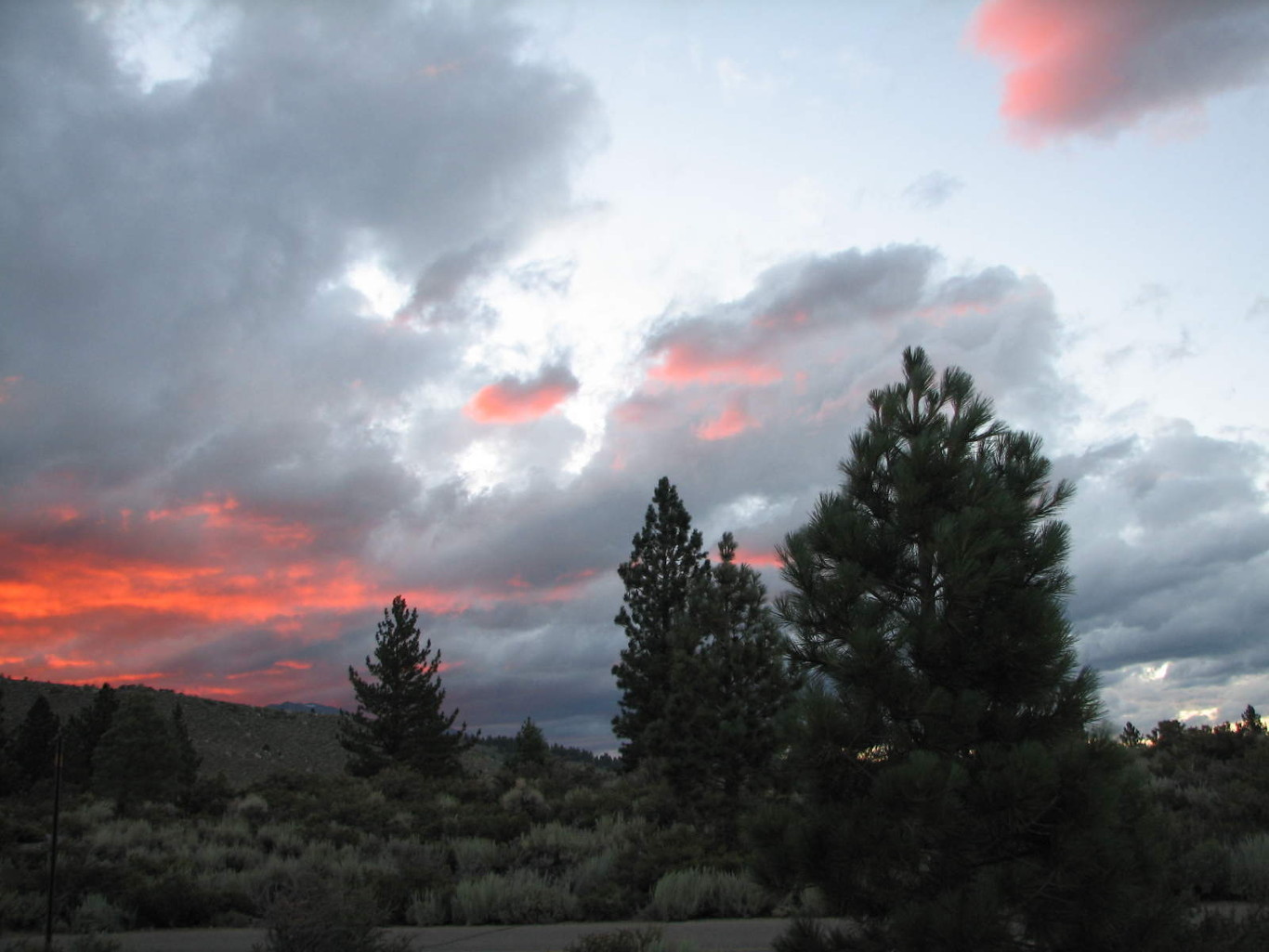 Central california landscape