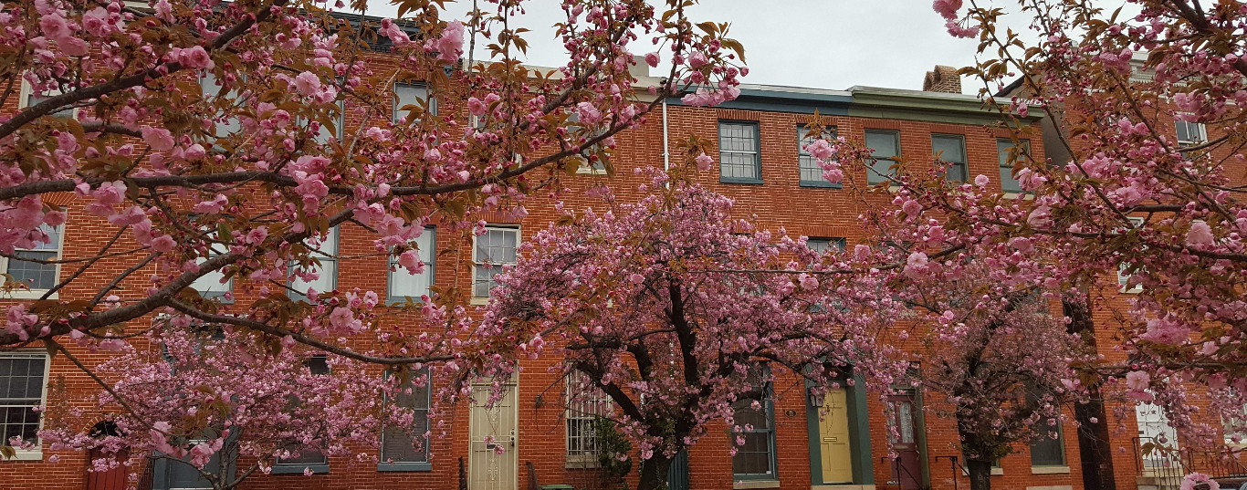 Spring in historic Baltimore