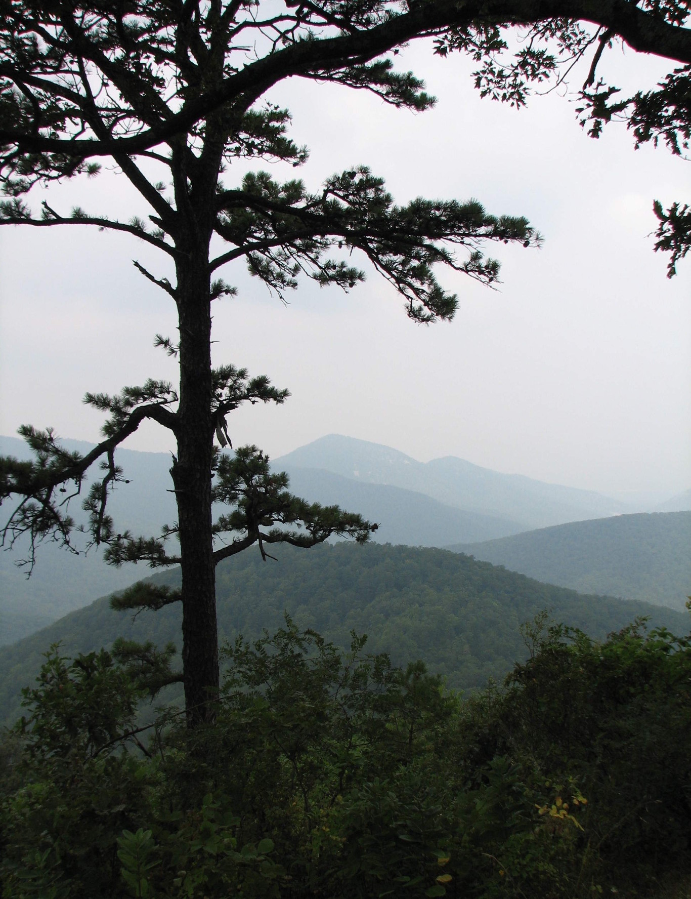 Appalachian Mountains in Virginia